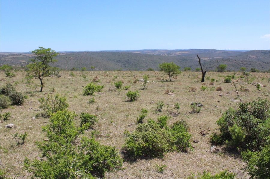 5 Bedroom Property for Sale in Mooiplaas Eastern Cape